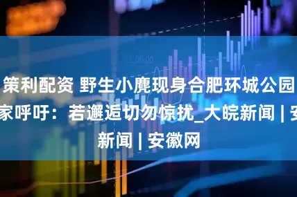 策利配资 野生小麂现身合肥环城公园？ 专家呼吁：若邂逅切勿惊扰_大皖新闻 | 安徽网