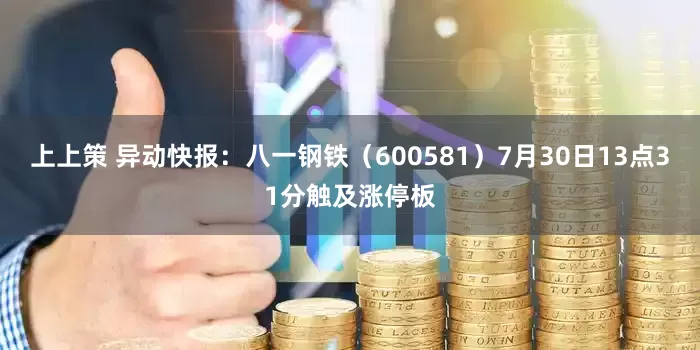 上上策 异动快报：八一钢铁（600581）7月30日13点31分触及涨停板