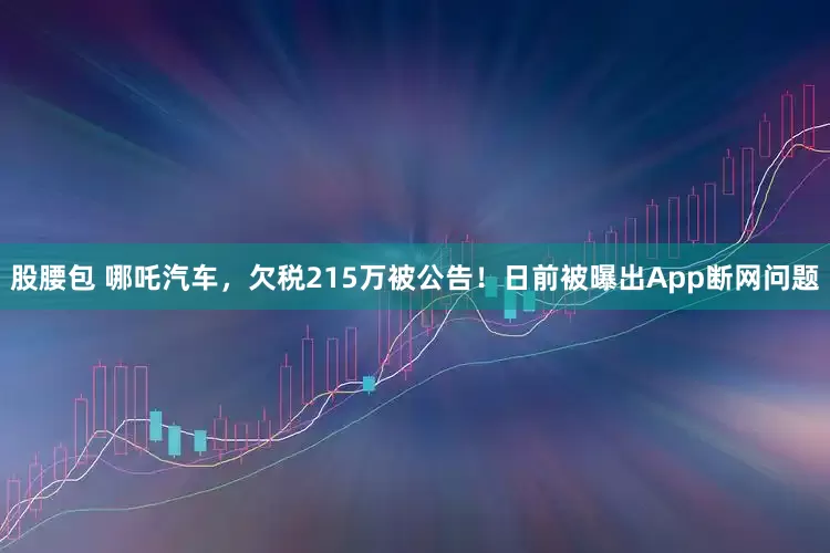 股腰包 哪吒汽车，欠税215万被公告！日前被曝出App断网问题