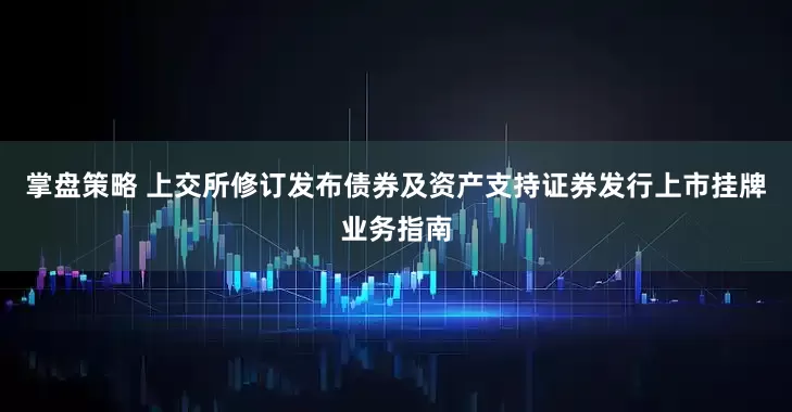 掌盘策略 上交所修订发布债券及资产支持证券发行上市挂牌业务指南